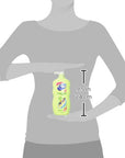 Dial Kids 2-in-1 Body+Hair Wash, Melon Scent, 24 fl oz (Pack of 4)