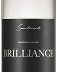 Scentiment Diffuser Oil - Brilliance Designer Collection | Aromatherapy Home Fragrance | Luxurious Scent with Notes of Saffron, Amberwood, Fir Resin (20 mL)