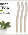 Biodegradable Zero Waste Eco Friendly Compostable 3 Pc Wheat Straw Face Dermaplaning Blade / Eyebrow Hair Trimmer / Shaver Disposable Facial Hair Removal / Face Razor