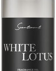 Scentiment Diffuser Oil - White Lotus | Aromatherapy Home Fragrance | Inspired by Four Seasons® Hotel | Luxurious Scent with Notes of Wild Fig, Vetiver, Almond, Sandalwood (20 mL)