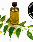 Naturevibe Botanicals Neem Oil 32 Ounces | 100% Pure and Natural | Great for Skin Care and Hair Care