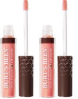 Burt's Bees 100% Natural Moisturizing Lip Gloss, Sunny Day - 1 Tube (Pack of 2)