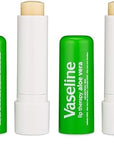 Vaseline Aloe Fresh Lip Therapy Stick- .16 oz (Pack of 2)