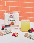 TERRA ORIGIN Healthy Gut Stick Packs, L-Glutamine, Slippery Elm, Aloe Vera, Licorice Root Extract, Gut Health, Digestive Support, Leaky Gut Repair, Immune Function, On-The-Go, 21 Ct, Berry