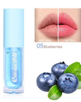 6Pcs Hydrating Lip Oil Set,Fruity Color