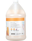 Ginger Lily Farms Botanicals All-Purpose Liquid Hand Soap Refill, Coco Mango, 100% Vegan & Cruelty-Free, Coconut Mango Scent, 1 Gallon (Pack of 4)