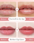 Avocado Lip Balm Vitamin E Oil Lips