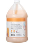 Ginger Lily Farms Botanicals Moisturizing Shampoo for All Hair Types, Coco Mango, 100% Vegan & Cruelty-Free, Coconut Mango Scent, 1 Gallon Refill (Pack of 4)