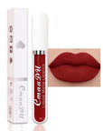 evpct 1Pcs Brick Red Liquid Matte Lipstick Lipgloss Set for Women, labiales mate 24 horas originales matte larga duracion 24 Hour Lipstick Lip Stains Long Lasting Waterproof 24, 15#