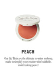 Jillian Dempsey Lid Tint: Satin Cream Eyeshadow I Easy Application for a Natural Shimmer or a Layered Matte Finish I Peach