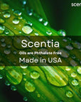 Scentia Hotel Diffuser Oil Inspired by The Wynn, Las Vegas Hotel - 20 mL 0.67 fl oz - Fragrance Oil Blend for Aromatherapy & Ultrasonic Diffusers - Mystical, Thanksgiving Gift