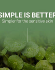 SCINIC The Simple Cica Toner Pad 60 Pcs | Vegan-certified Cotton Fabric | Mild Peeling Without Irritation | Gentle Ph 5.5 PHA Peeing | 100% Vegan | K-beauty