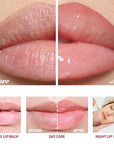 Honey Lip Balm Pot, Propolis Lip