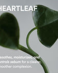 Abib Heartleaf Spot Pad Calming Touch 80pads 5.07 fl.oz. | Korean Acne Soothing Toner Pads for Face, Cleansing, Disposable, Exfoliant, Skin Care