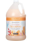 Ginger Lily Farms Botanicals Moisturizing Shampoo for All Hair Types, Coco Mango, 100% Vegan & Cruelty-Free, Coconut Mango Scent, 1 Gallon Refill (Pack of 4)