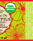 US Organic 100% Pure Eucalyptus Essential Oil (Globulus) - USDA Certified Organic, Steam Distilled - W/Euro droppers (More Size Variations Available) (10 ml / .33 fl oz)