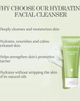 Aloderma Hydrating Facial Cleanser with Organic Aloe Vera - Daily Moisturizing Aloe Face Wash with Shea Butter, Vitamin E - Nourishing Face Cleanser for Normal, Dry Skin, Non-Comedogenic, 100g/3.5oz