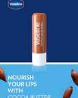 Vaseline Lip w/o Backer Card Cocoa - 12 Pack Box