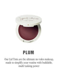 Jillian Dempsey Lid Tint: Satin Cream Eyeshadow I Easy Application for a Natural Shimmer or a Layered Matte Finish I Plum