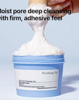 Pyunkang Yul PKY Pore Out Faicial Cleanser, Sticky Clay absorbs impurities & Makeup, Deep Pore Cleansing with Moisture (3.38 Fl. Oz, 100g)