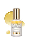 d'alba Piedmont Italian White Truffle