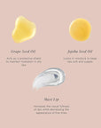 Jouer Essential Vegan Lip Enhancer - Plumping Lip Gloss - Enhancing Lip Conditioner - Moisturize, Plump, & Nourishing Lip Care - Jojoba Seed Oil & Maxi Lip Formula for Moisturizing & Fullness, Vanilla