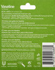 Vaseline Aloe Fresh Lip Therapy Stick- .16 oz (Pack of 2)
