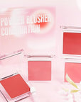 Blush for Cheeks Professional Makeup Palette, Comes with 4 Separate Powder Palette,Blendable and Fade-Resistant for Eyes,Lips & Cheeks Long-Wear Matte Finish,Color-Coral Nude Pink Red Comes with Brush