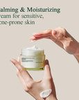 Pyunkang Yul PKY Calming Moisture Barrier Cream Instantly Soothes Sensitive Skin, Hyaluronic Acid & Ceramide for Hydration, Vegan, Korean Skincare (3.38 Fl. Oz, 100ml)