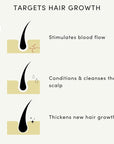 Forest & Shore Hair Growth Oil, 100% Natural, with Caffeine, Biotin, Castor , Argan & Rosemary, Effective Serum for Damaged Hair