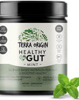 TERRA ORIGIN Healthy Gut Mint Flavor |30-Servings with L-Glutamine, Zinc, Glucosamine, Slippery Elm Bark, Marshmallow Root and More!