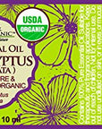 US Organic 100% Pure Eucalyptus Essential Oil (Radiata) - USDA Certified Organic, Steam Distilled - W/Euro droppers (More Size Variations Available) (10 ml / .33 fl oz)