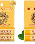 Burt's Bees Lip Balm Easter Basket