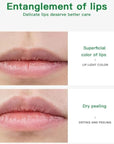 Avocado Lip Balm Vitamin E Conditioning