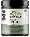 TERRA ORIGIN Healthy Gut Mint Flavor |30-Servings with L-Glutamine, Zinc, Glucosamine, Slippery Elm Bark, Marshmallow Root and More!