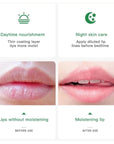 Avocado Lip Balm Vitamin E Conditioning
