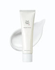 Beauty of Joseon Dynasty Cream Hydrating Face Moisturizer for Dry, Sensitive Skin, Korean Skincare for Men and Women 100ml, 3.38 fl.oz