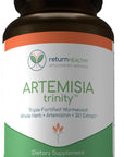 Artemisia Trinity | Cleansing for Adults with Wormwood Herb & Artemisinin 30:1 Extract | Resistance & Digestive Support | Herbal Supplements | Pure, Plant-Based, 90 Caps