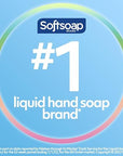 Softsoap Antibacterial Liquid Hand Soap Refill, Refreshing Clean, Moisturizing Hand Soap, 1 Gallon,White