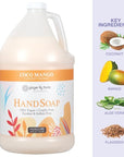 Ginger Lily Farms Botanicals All-Purpose Liquid Hand Soap Refill, Coco Mango, 100% Vegan & Cruelty-Free, Coconut Mango Scent, 1 Gallon (Pack of 4)