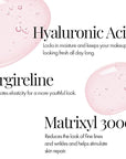 MagicMinerals AirBrush Foundation Set by Jerome Alexander – Skin (Cognac)