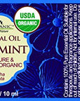 US Organic 100% Pure Spearmint Essential Oil - USDA Certified Organic, Steam Distilled - W/Euro droppers (More Size Variations Available) (10 ml / .33 fl oz)