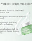 Aloderma Soothing Face Cream Made with 75% Organic Aloe Vera - Calming Facial Cream with Squalane & Vitamin E for Dry, Sensitive Skin - Reduces Redness, Helps Protect Damaged Skin, 50g/1.76oz