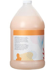 Ginger Lily Farms Botanicals Moisturizing Shampoo for All Hair Types, Coco Mango, 100% Vegan & Cruelty-Free, Coconut Mango Scent, 1 Gallon Refill (Pack of 4)