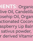 Slo | Natural Lip Balm - All Natural Lip 28oz