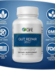 Gut Repair 360: Natural Formulated Formula Emerged from The Lab - Pure Essence Organic Capsules Non-GMO Gluten-Free Soy-Free Dairy-Free USA Made - Supporting Your Healthy Gut
