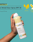 MyChelle Dermaceuticals Sun Shield Clear Spray SPF 30 (6 Fl Oz) - Liquid Zinc Sunscreen Spray with Bentonite Clay and Jojoba - Balances Oil Levels and Conditions Skin - Water Resistant for 80 Minutes