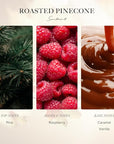 Scentiment Diffuser Oil - Roasted Pine Cone Fall Collection | Aromatherapy Home Fragrance | Luxurious Scent with Notes of Pine, Raspberry, Caramel (50ml)