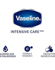 Vaseline Lotion, Intensive Care Nourishing Moisture 2-Pack – Moisturizer with Oat Extract + Ultra-Hydrating Lipids for Healing Extremely Dry Skin, 3.4 Oz Ea