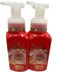 Bath & Body Works Gentle Foaming Hand Soap - Frosted Cranberry (2 Pack)